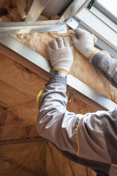Professional Insulation Contractor in Atlanta, TX